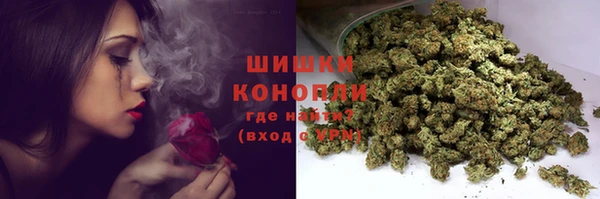 трава Магас
