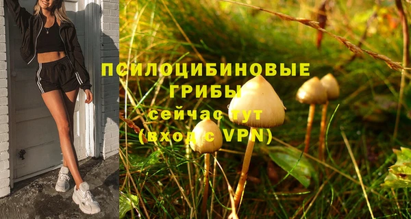 прущий лед Лиски