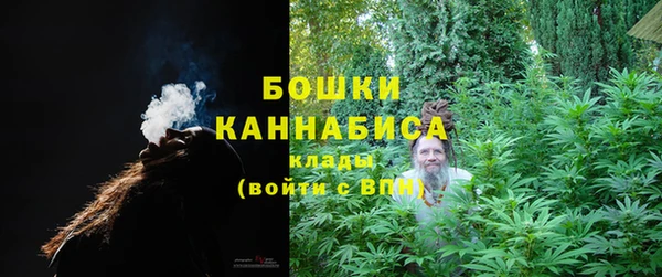 трава Магас