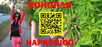 мдпв Дубна