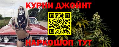 прущие грибы Донской