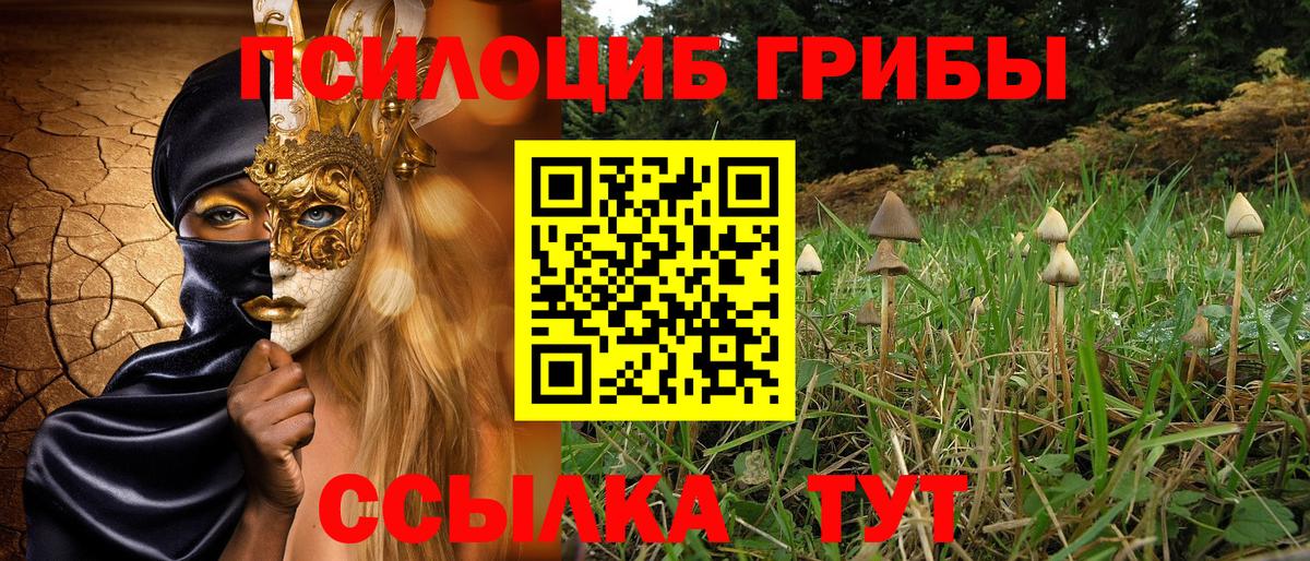 Псилоцибиновые грибы прущие грибы Кумертау