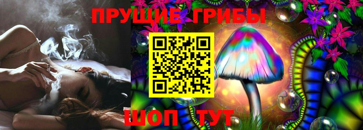 Кумертау  Псилоцибиновые грибы прущие грибы  Вход с VPN 