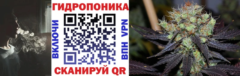 Бошки Шишки OG Kush Кумертау